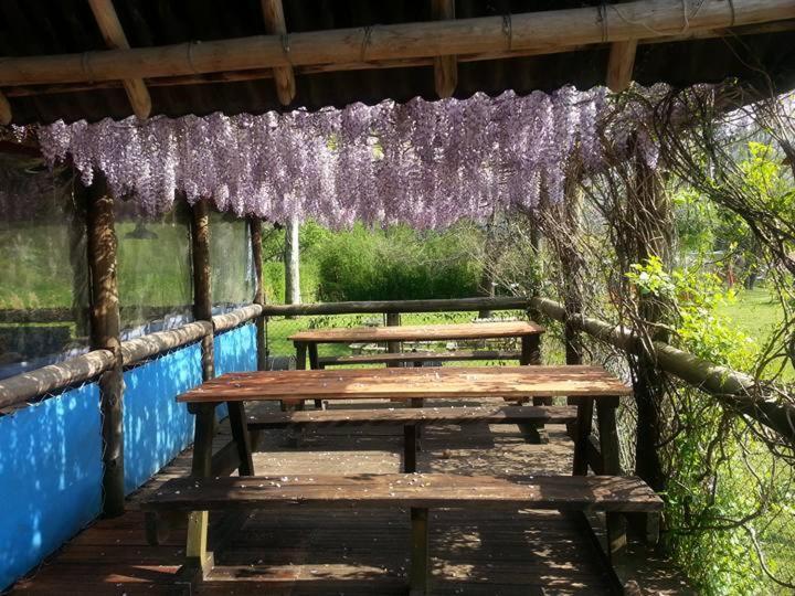 Cabanas Faro Delta Tigre Kültér fotó